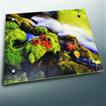 Commercial acrylic artwork